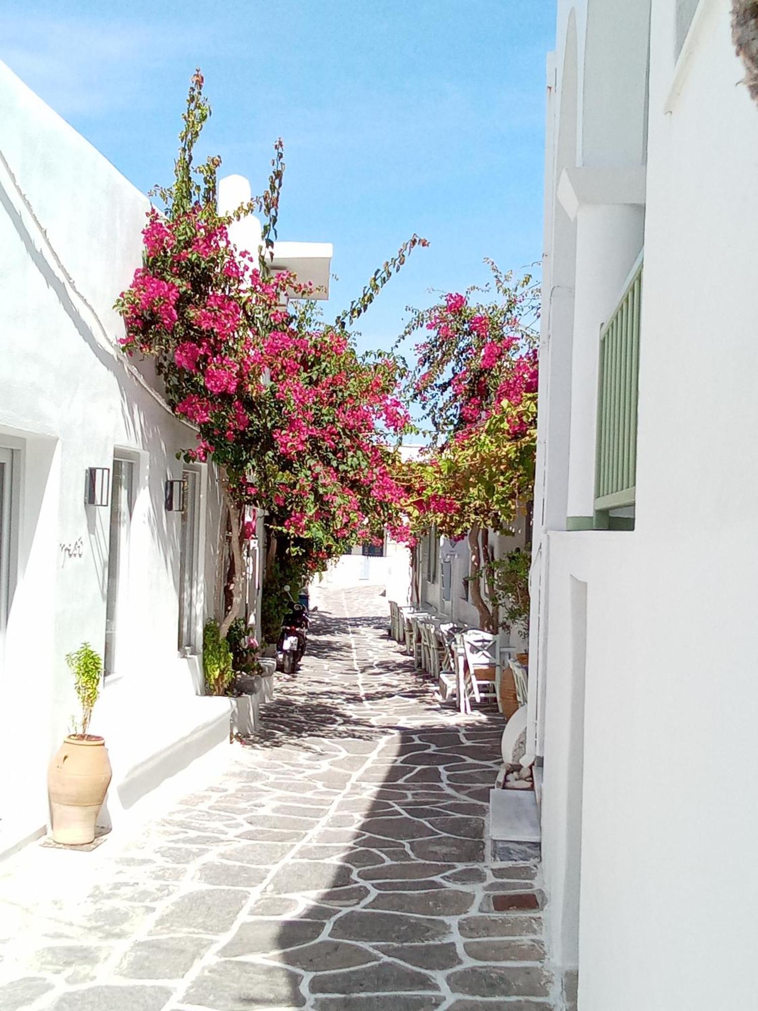 Sunloft-Paros Aparthotel Naousa  Bagian luar foto
